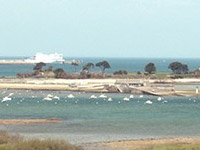 image15
